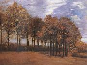 Vincent Van Gogh Autumn Landscape (nn04) Sweden oil painting reproduction